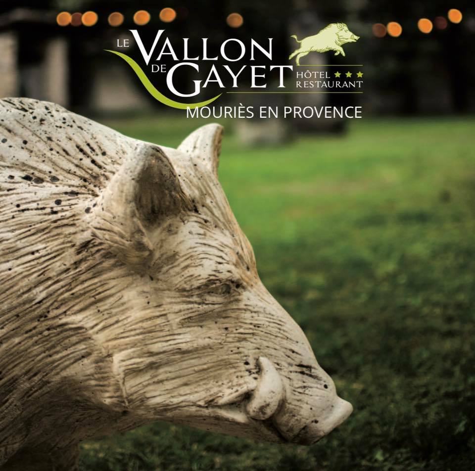 vallon-de-gayet-sanglier